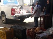 150 kg de carne imprópria para consumo são apreendidos em distribuidora no Canaã
