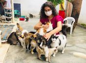 Teca Nelma cobra urgência do Hospital Público Veterinário de Maceió