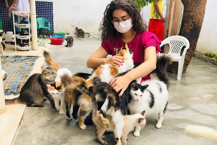 Teca Nelma cobra urgência do Hospital Público Veterinário de Maceió