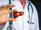 Maio Vermelho: além de danos ao fígado, hepatites também podem comprometer a saúde cardiovascular