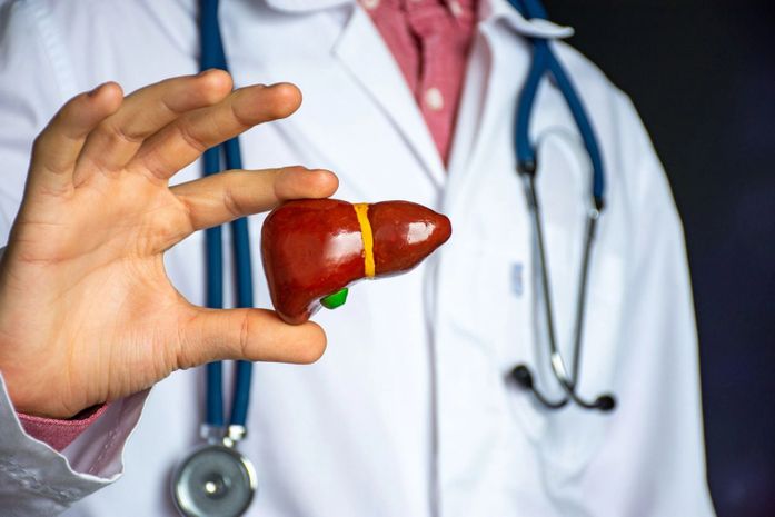 Maio Vermelho: além de danos ao fígado, hepatites também podem comprometer a saúde cardiovascular
