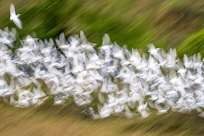 Concurso de Fotografia Ambiental do IMA distribui R$ 12 mil em prêmios