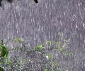 Chuva