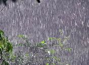 Chuva