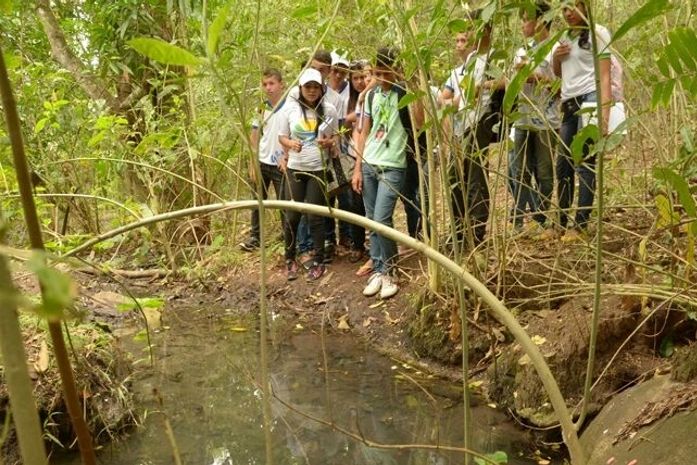 Estudantes de Limoeiro de Anadia realizam estudos em nascentes do Município