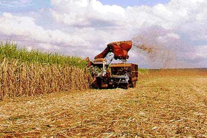 “É um efeito dominó”, diz presidente da Associação dos Plantadores de Cana de AL sobre crise no setor 