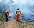 Corpo de Bombeiros combate incêndio em vegetação no mirante de Santa Terezinha