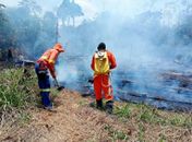 Corpo de Bombeiros combate incêndio em vegetação no mirante de Santa Terezinha