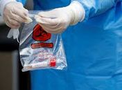 Brasil registra 31.553 novos infectados por Covid-19 em 24h e ultrapassa 5 milhões de casos acumulados; foram 734 óbitos no mesmo período
