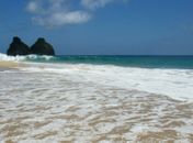 Turista leva mordida de tubarão quando estava surfando