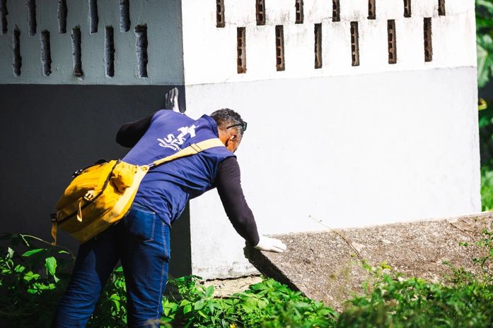 SMS reforça combate à dengue e animais peçonhentos com canal de denúncias