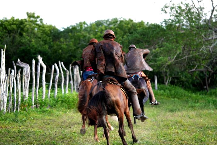 I Vaquejada de Pega de Boi no Mato promete movimentar Pão de Açúcar com cultura, esporte e música sertaneja