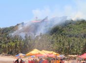 Incêndio em vegetação se alastra e atinge pousada de luxo no Litoral Norte