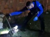 Jacaré de quase 2 metros que invadiu casa é resgatado em Marechal Deodoro