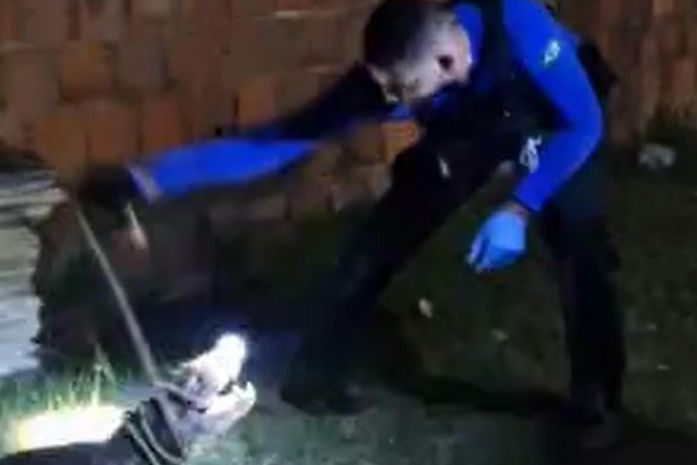 Jacaré de quase 2 metros que invadiu casa é resgatado em Marechal Deodoro