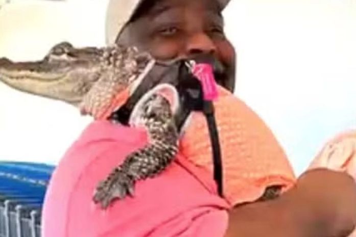 Cliente é proibido de levar jacaré de 'apoio emocional' a supermercado