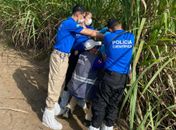 Polícia Científica encontra joias em ossada humana, em canavial