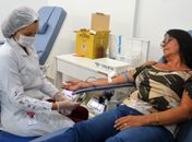 Confira como será o funcionamento do Hemoal nos dias 31 de dezembro e 1º de janeiro