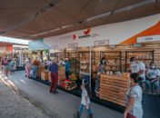 Grupos do Alagoas Maior batem recorde de vendas na Expoagro 2021