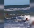 Surfista resgata mulher de afogamento na Praia do Francês e é homenageado pelos Bombeiros