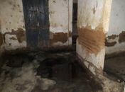 IMA, Adeal e PM combatem o abate clandestino de animais