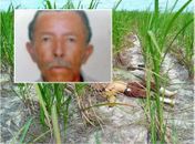 Corpo de idoso desaparecido é encontrado em canavial