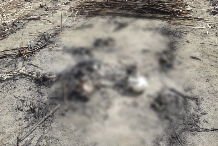 Ossada humana foi encontrada por funcionários de usina.