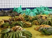 Educação entrega mais uma remessa de kits da agricultura familiar aos alunos da rede municipal