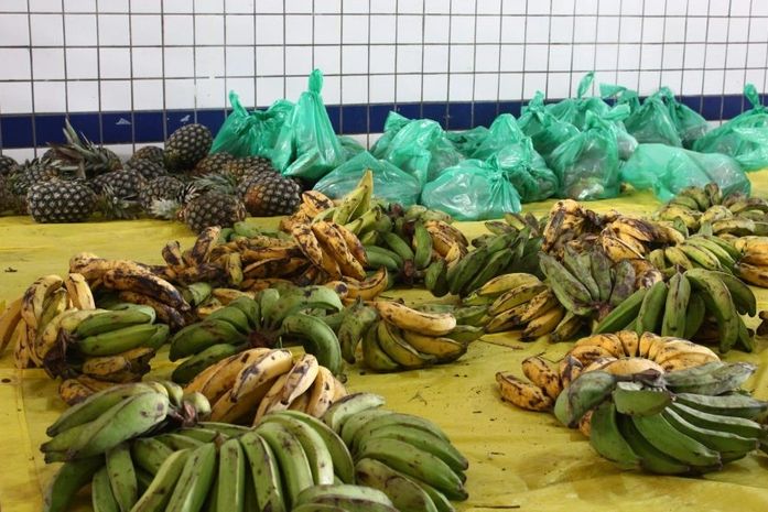 Educação entrega mais uma remessa de kits da agricultura familiar aos alunos da rede municipal