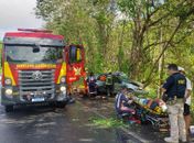 Carro colide com árvore e deixa quatro feridos na BR-104, em Murici; veja as imagens
