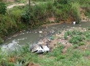 Veículo capotou e caiu em ribanceira