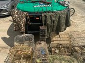 Operação apreende animais silvestres e armas de fogo no interior de Alagoas