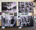 Misa recebe exposição fotográfica sobre os saberes tradicionais de Alagoas
