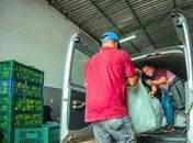 PAA: Prefeitura de Arapiraca já investiu mais de R$ 2,7 milhões na compra de alimentos