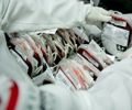 Novas regras para bancos de sangue entram em vigor em setembro; veja o que muda