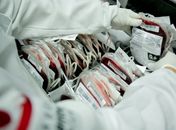 Novas regras para bancos de sangue entram em vigor em setembro; veja o que muda
