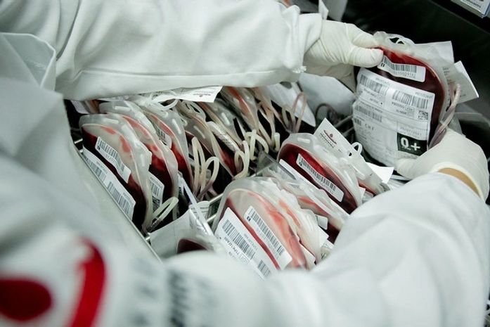 Novas regras para bancos de sangue entram em vigor em setembro; veja o que muda