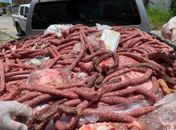 Vigilância Sanitária apreende alimentos impróprios para consumo