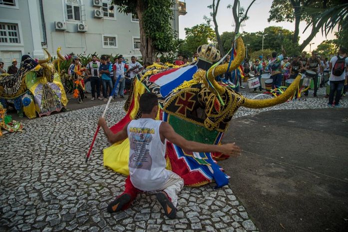 II Festival de Bumba Meu Boi promete movimentar estacionamento de Jaraguá