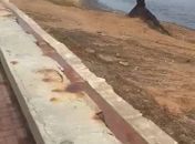 Após chuvas, internauta flagra esgoto na praia da Jatiúca; vídeo