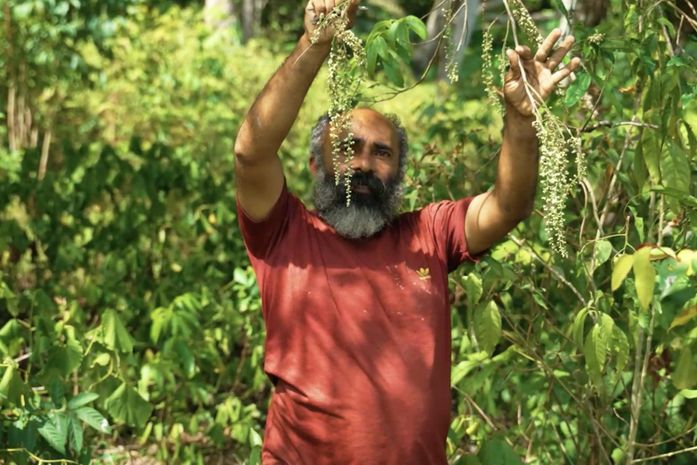Secretário de Agricultura destaca geração de renda em produção agroecológica localizada em Maceió