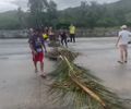 Protesto bloqueia duas pistas da BR-101, em Novo Lino, no sentido Maceió