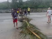 Protesto bloqueia duas pistas da BR-101, em Novo Lino, no sentido Maceió