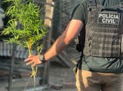 Quatro suspeitos de tráfico e crime organizado são presos em operação em Penedo