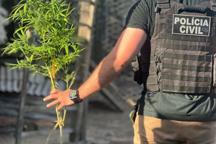 Quatro suspeitos de tráfico e crime organizado são presos em operação em Penedo