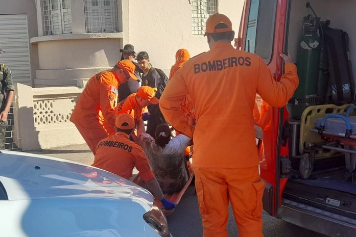 Mulher cai e fica presa em buraco de dois metros após tentar resgatar gato em interior de AL; Bombeiros são acionados 
