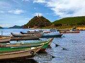 Piranhas voltam a atacar banhistas no Rio São Francisco