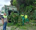 Alurb realiza intervenções em árvores no bairro da Gruta de Lourdes, em Maceió; saiba como solicitar o serviço