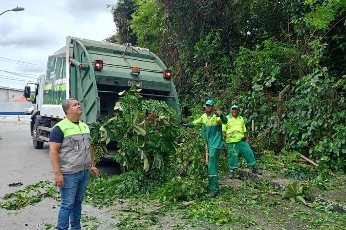 Alurb realiza intervenções em árvores no bairro da Gruta de Lourdes, em Maceió; saiba como solicitar o serviço