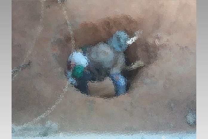 Após ser assassinado, jovem tem corpo jogado buraco em Palmeira dos Índios